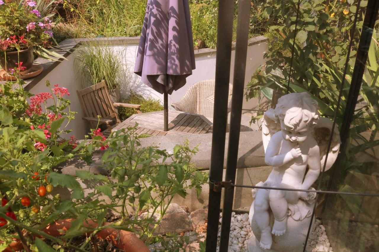 Soutterain - Mit Senkgarten Weingarten (Baden)