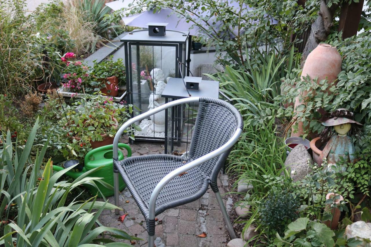 Soutterain - Mit Senkgarten Apartment
