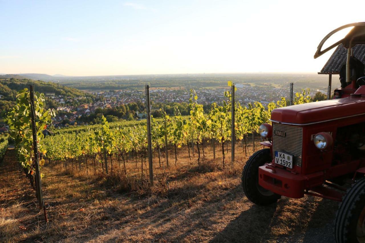 Soutterain - Mit Senkgarten